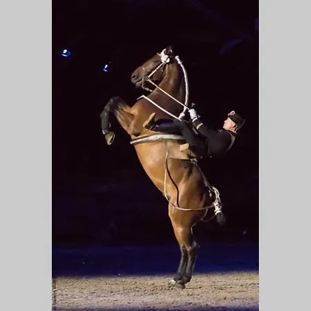L’escapade : Maison Centre-ville Avec Cour Hébergement de vacances *