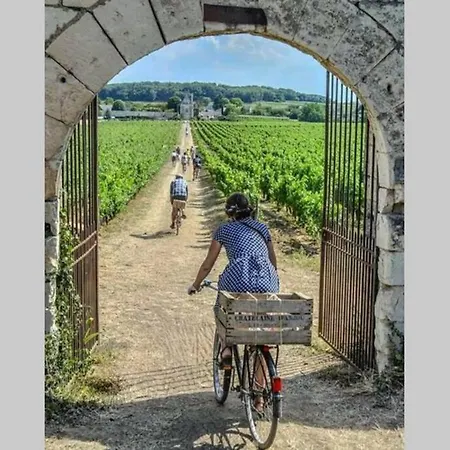 L'escapade : Maison Centre-ville Avec Cour *