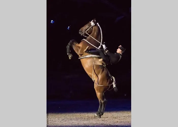 L'escapade : Maison Centre-ville Avec Cour בית נופש *