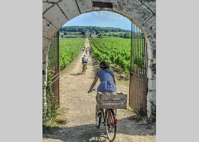 L'escapade : Maison Centre-ville Avec Cour *